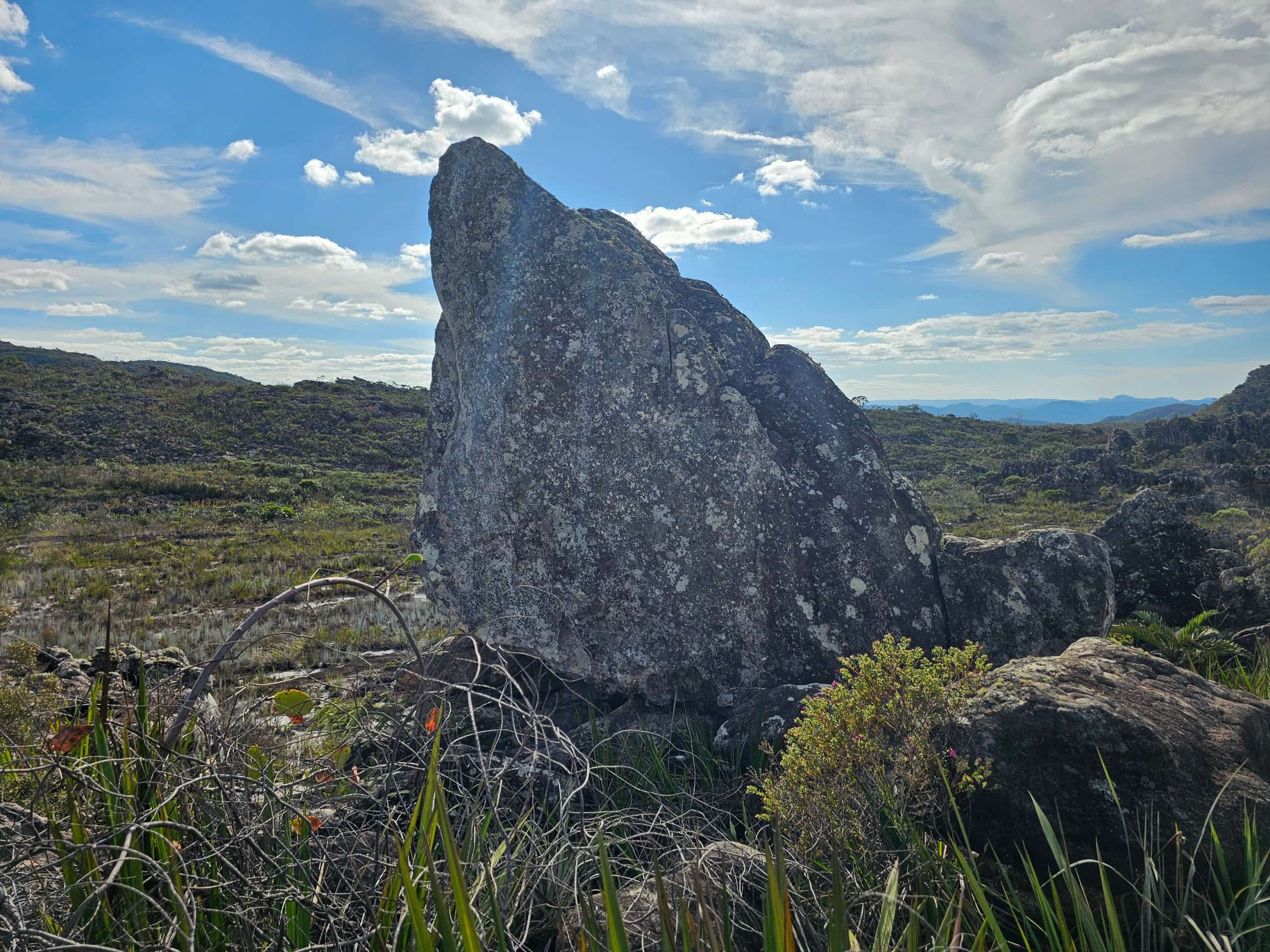 Pedestal