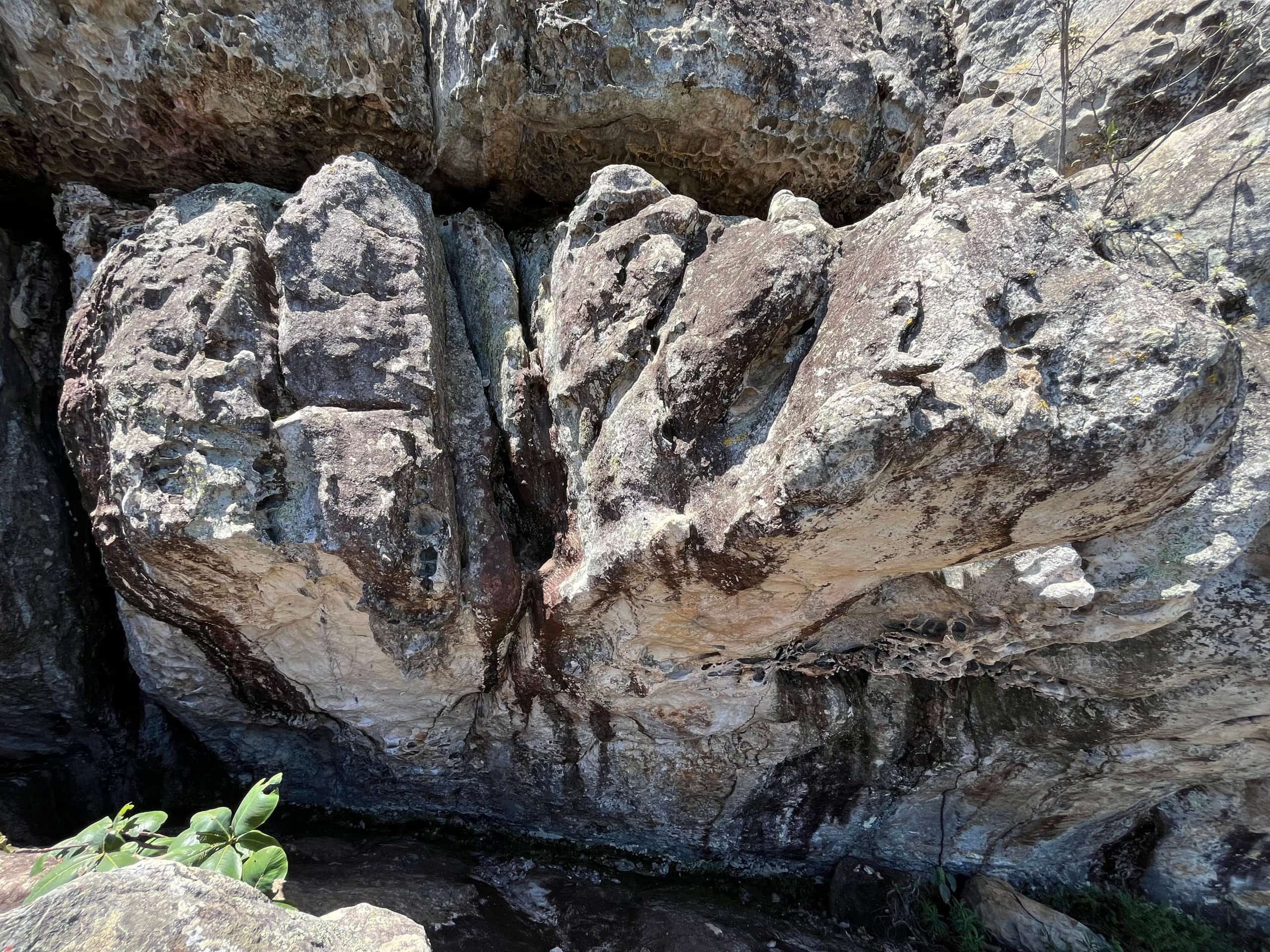 Tsunami