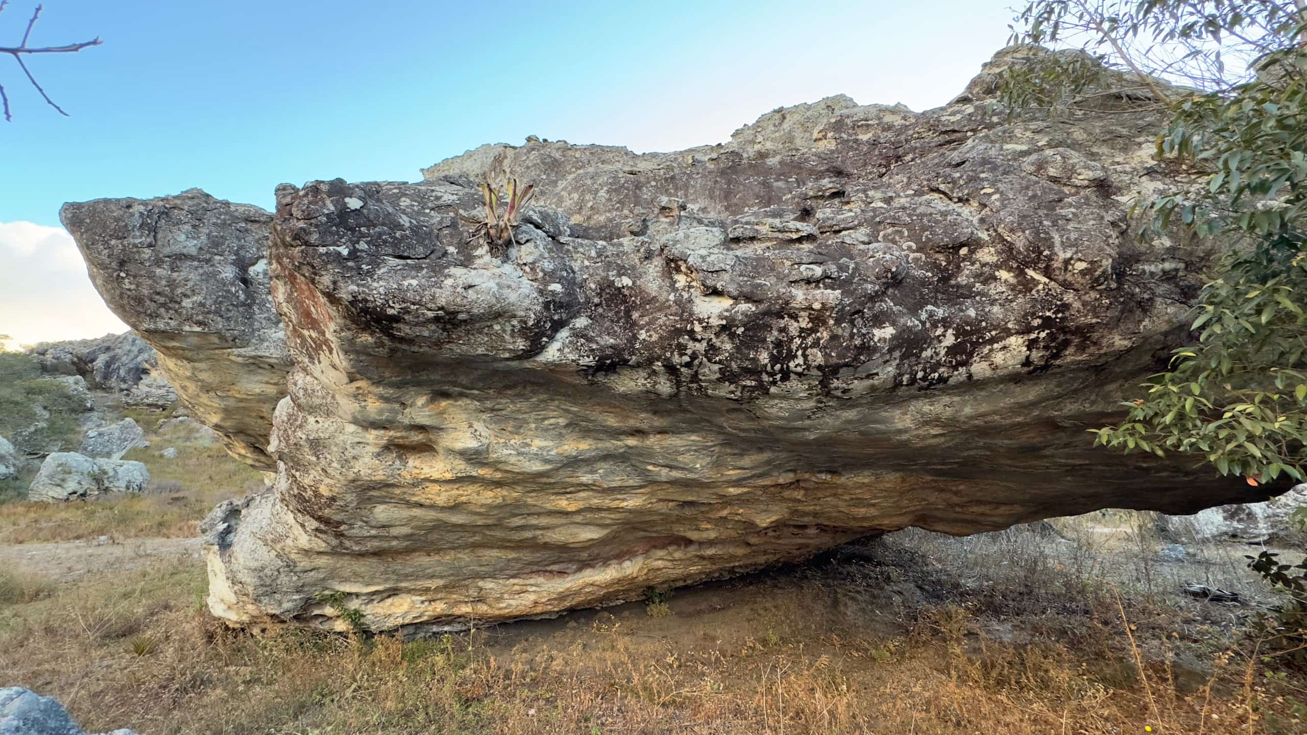 Serra da Bicha