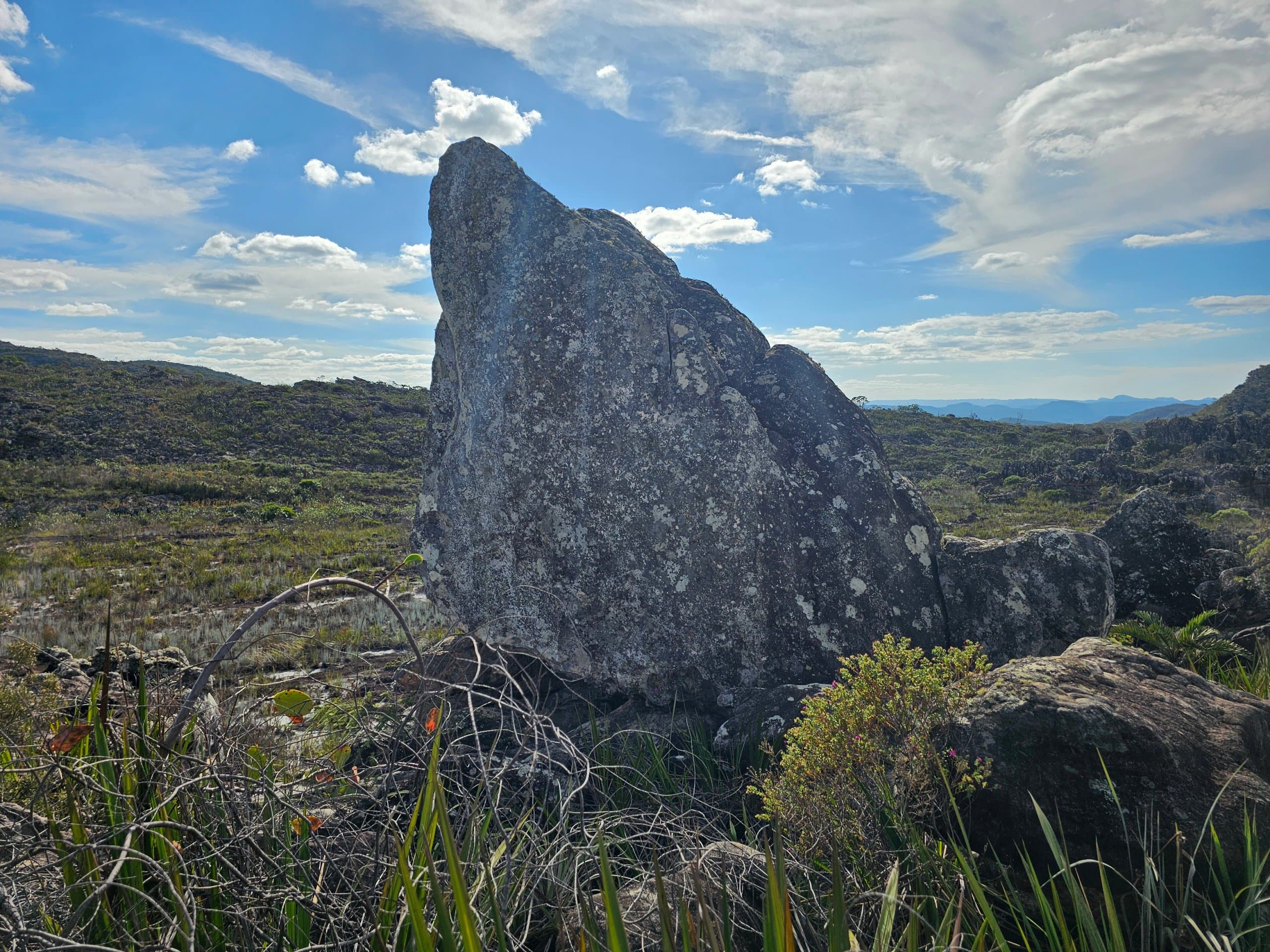 Pedestal